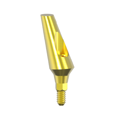 CORTEX 25° AÇILI ANATOMIC ABUTMENT NP